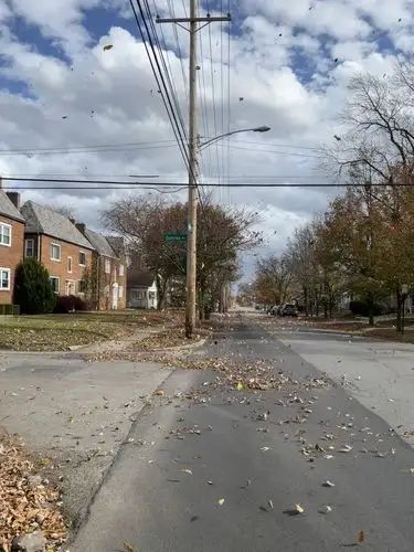 Fallen leaves dance on this crisp autumn day.